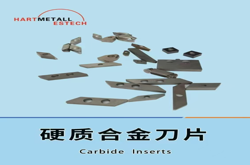 微信圖片_20250211095301 微信圖片_20250211095301